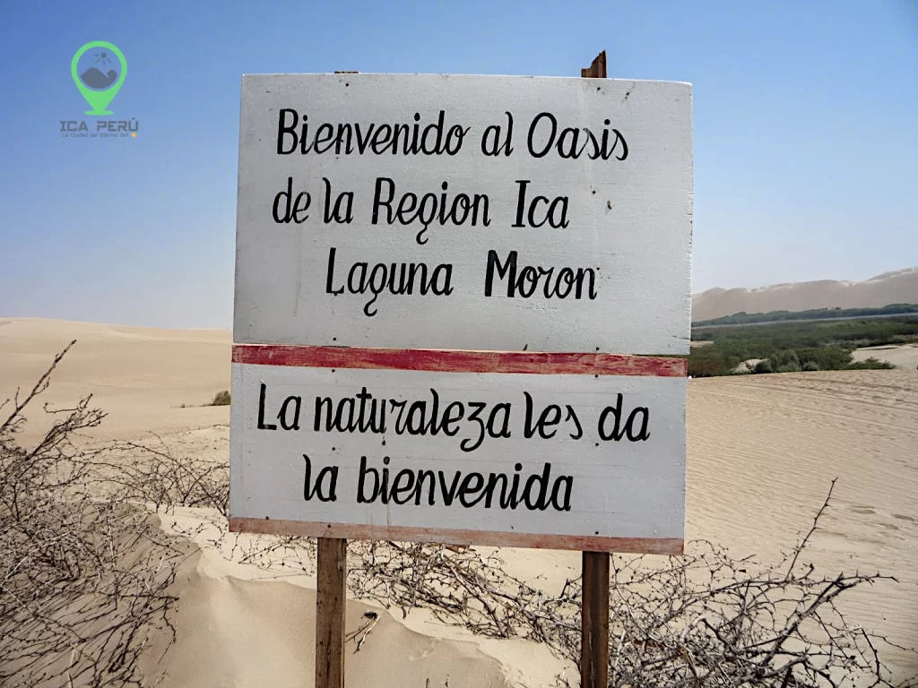 Bienvenidos al Oasis de la Región Ica Laguna Morón